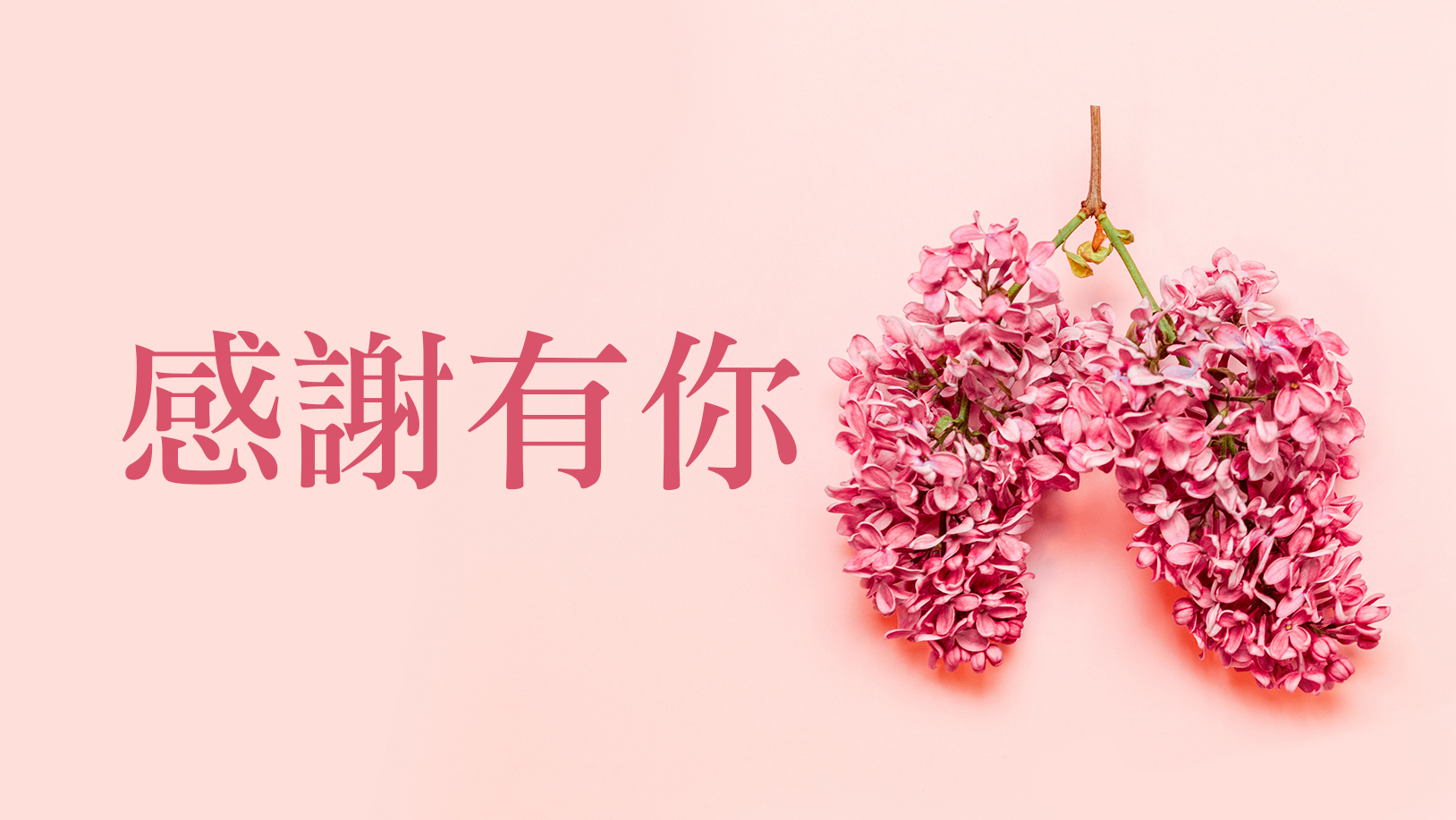 【感謝函】病人黃OO感謝骨科蔡孟學醫師與莊佳宥復健老師於骨折期間的專業照護