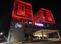 世界血友病日 亞大醫院全台唯一點紅燈 照亮女性病友健康