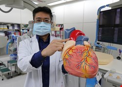 輕忽心血管疾病 6旬翁主動脈剝離險猝死 置換人工血管救回一命